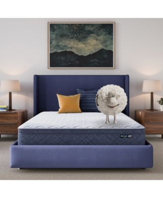 Serta - Dream Haven 10" Plush Pillow Top Mattress in a Box - Twin XL